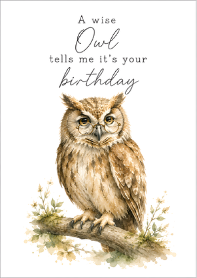 A Wise Owl Tells Me It's Your Birthday