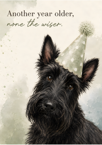 Another Year Older, None The Wiser (Scottie)