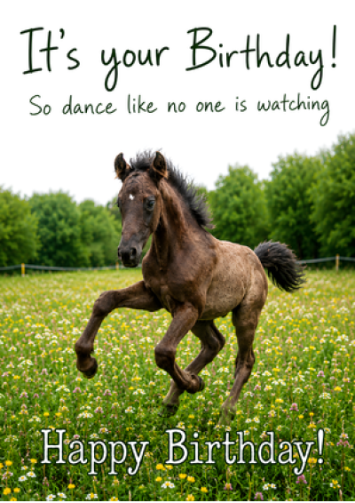 Dance Like No One Is Watching (Foal)