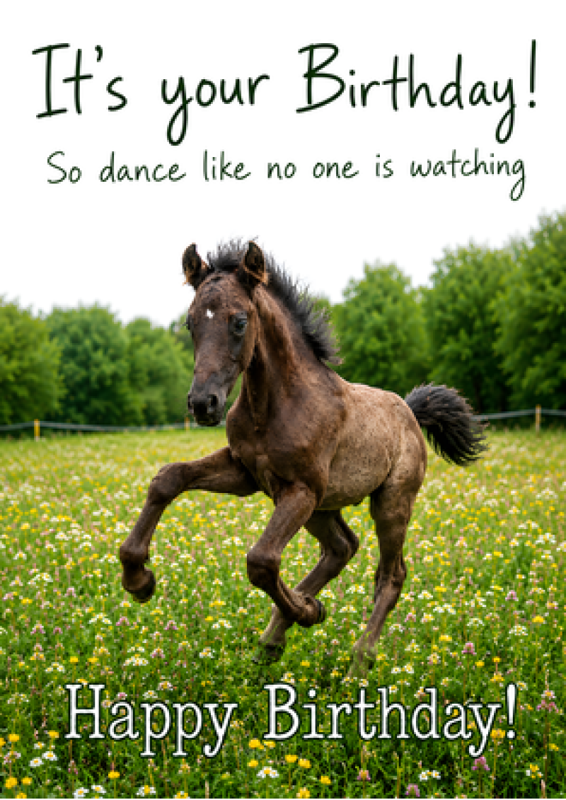 Dance Like No One Is Watching (Foal)