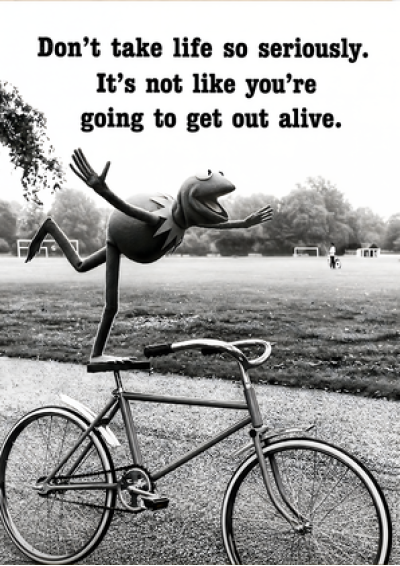 Don't Take Life So Seriously (Frog)