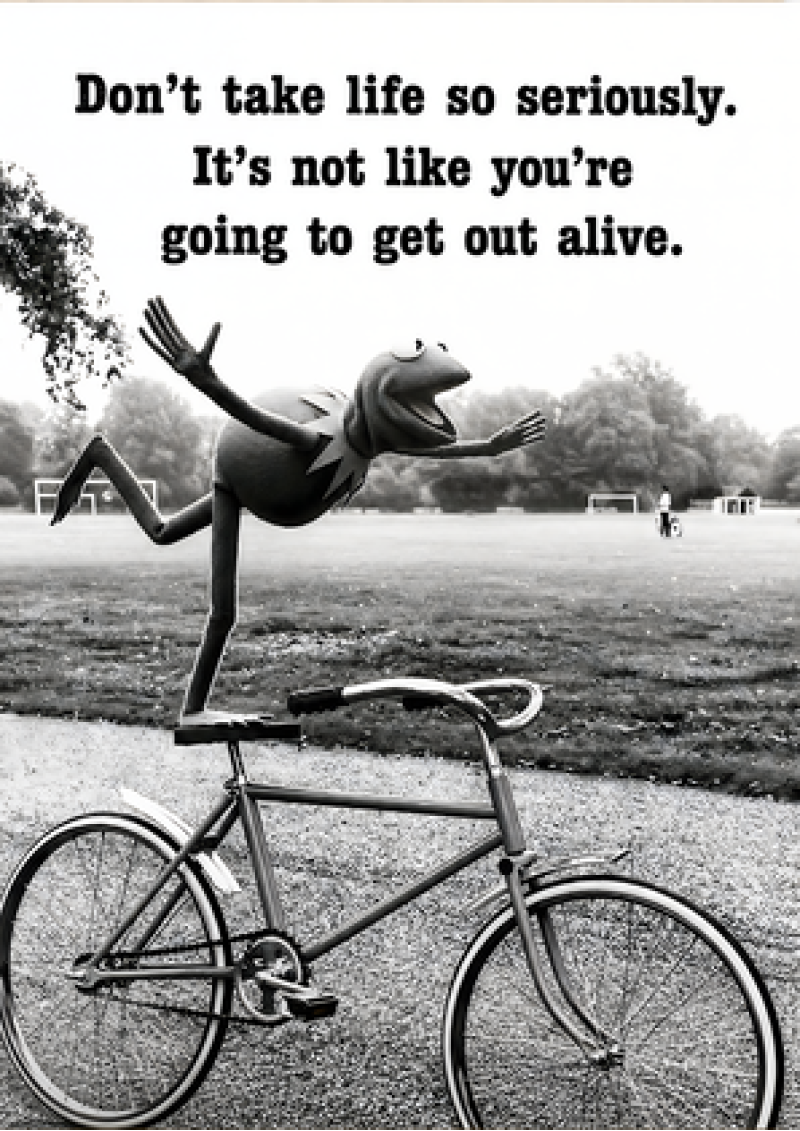 Don't Take Life So Seriously (Frog)