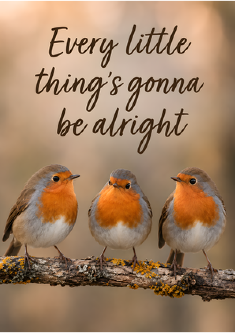 Every Little Thing's Gonna Be Alright (Robins)