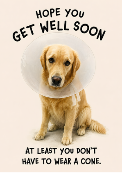 At Least You Don't Have To Wear A Cone (Retriever)
