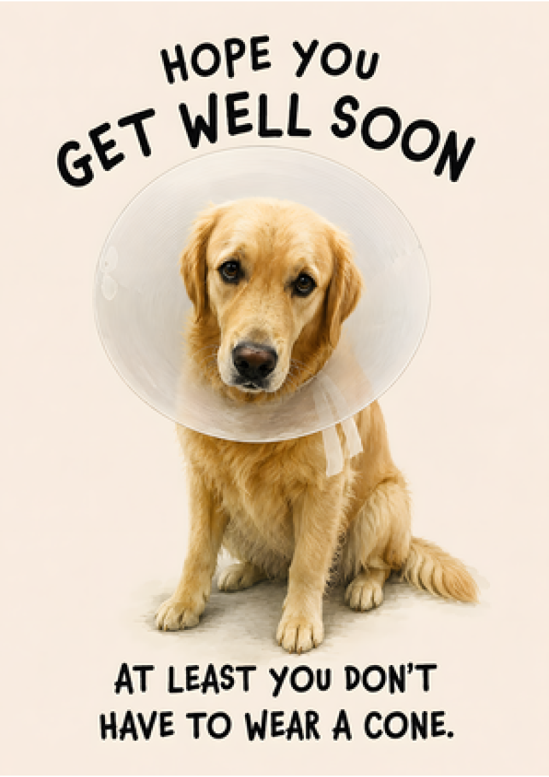 At Least You Don't Have To Wear A Cone (Retriever)