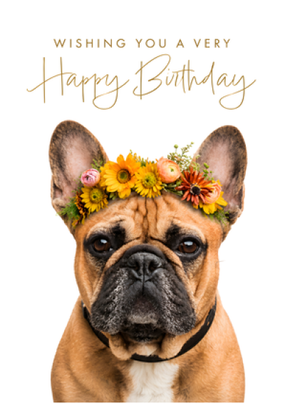 Happy Birthday - French Bulldog Flower Crown