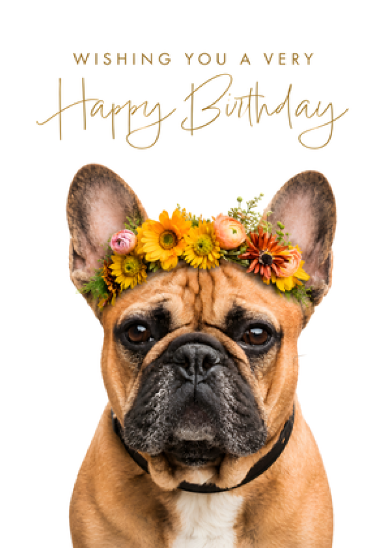 Happy Birthday - French Bulldog Flower Crown