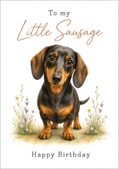 To My Little Sausage – Happy Birthday