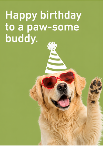 Happy Birthday To A Paw-some Buddy (Retriever)