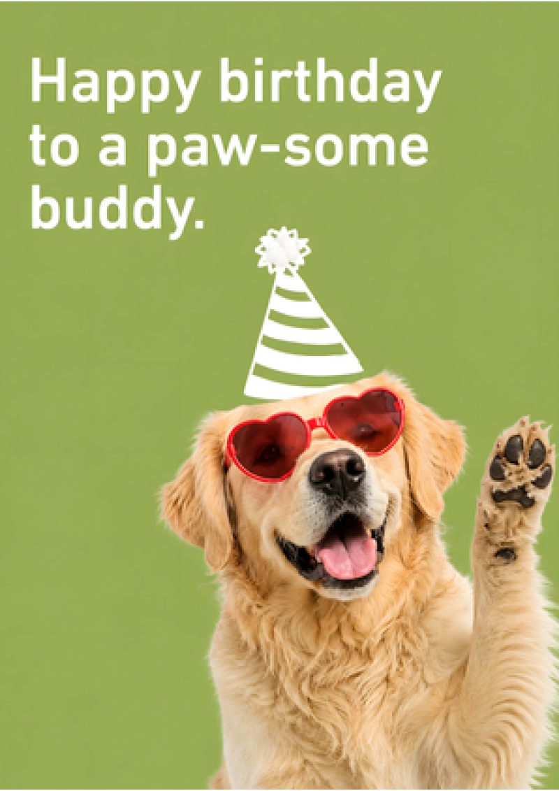 Happy Birthday To A Paw-some Buddy (Retriever)