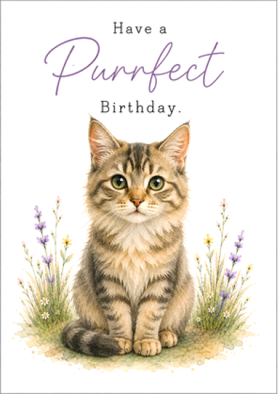 Have a Purrfect Birthday