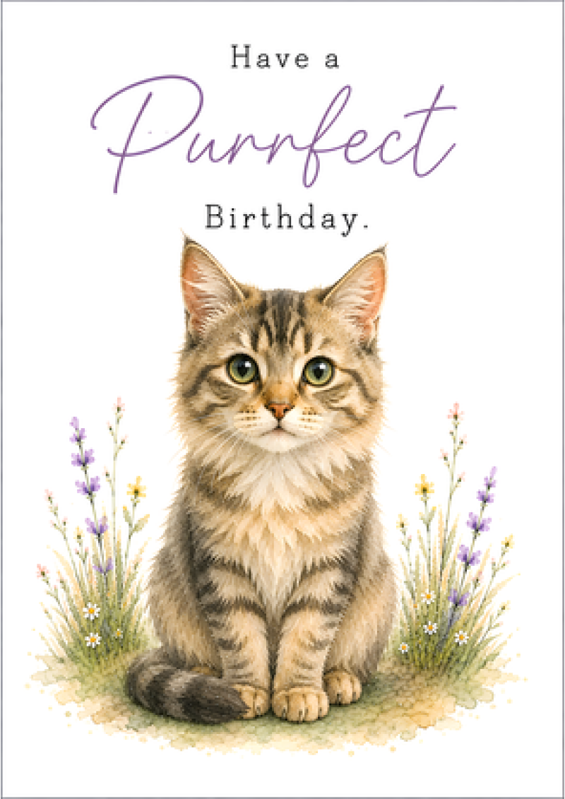 Have a Purrfect Birthday