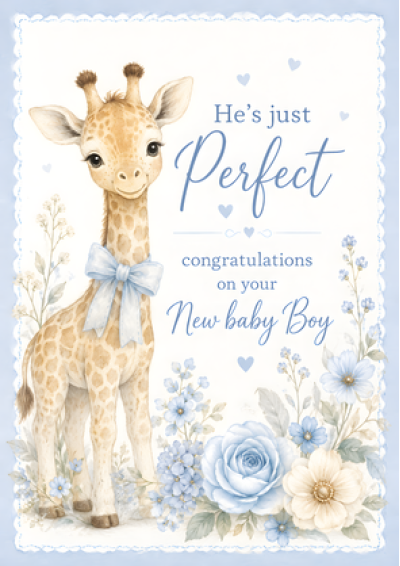 He's Just Perfect New Baby Boy