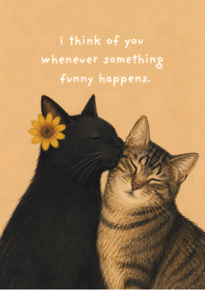 I Think Of You (Funny Cats)