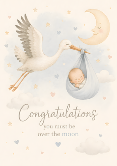 New Baby Boy Over The Moon Stork