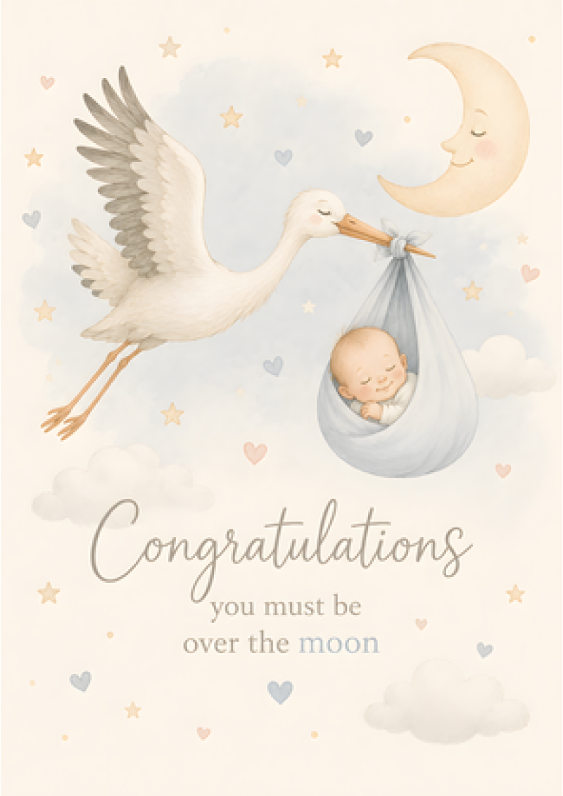 New Baby Boy Over The Moon Stork