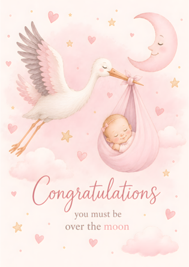 New Baby Girl Over The Moon Stork