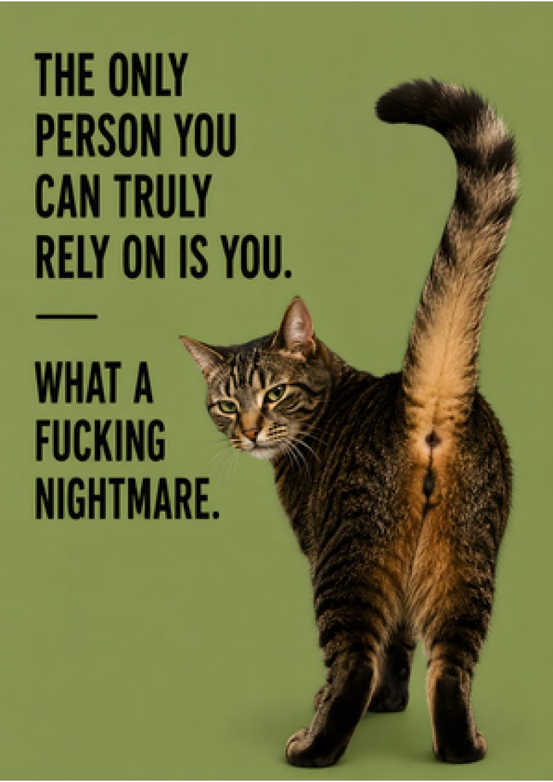 The Only Person You Can Rely On (Cat)