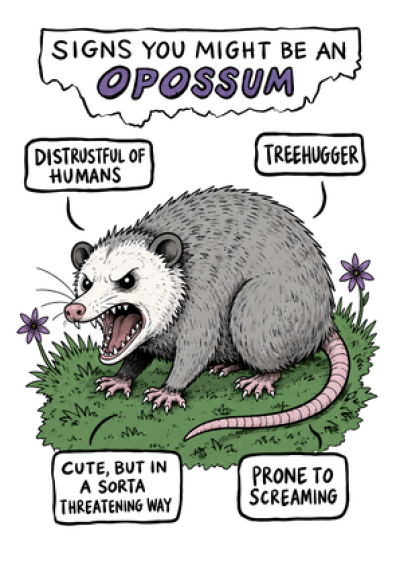Signs You Might Be an Opossum