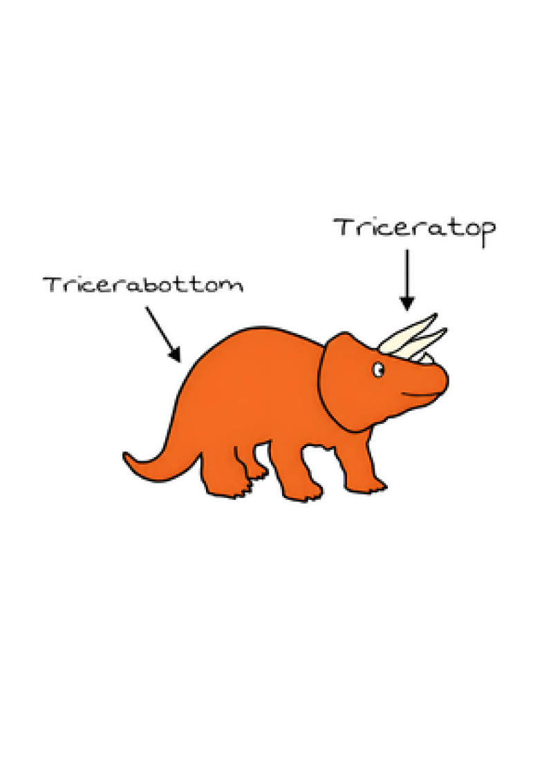 Triceratop / Tricerabottom