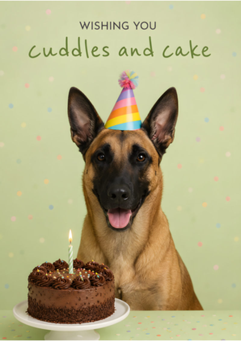 Wishing You Cuddles And Cake (Dog)