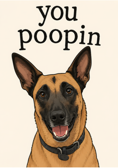 You Poopin (Dog)