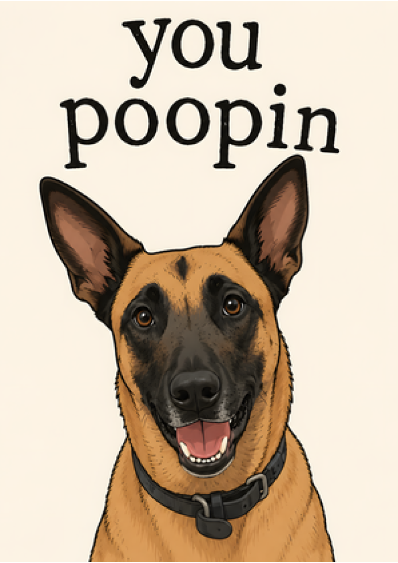 You Poopin (Dog)